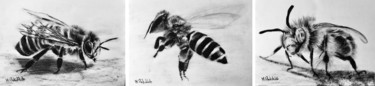 Rysunek zatytułowany „Bees Triptych” autorstwa M. Palichleb Art, Oryginalna praca, Węgiel drzewny