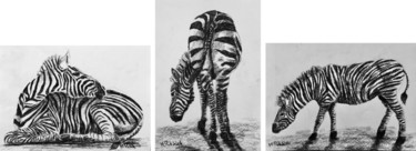 Rysunek zatytułowany „Zebras Triptych” autorstwa M. Palichleb Art, Oryginalna praca, Węgiel drzewny