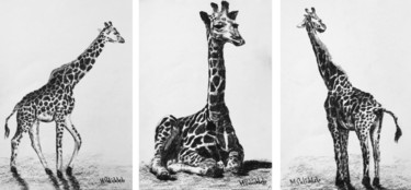 Rysunek zatytułowany „Giraffes Triptych” autorstwa M. Palichleb Art, Oryginalna praca, Węgiel drzewny