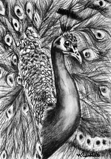 Rysunek zatytułowany „Peacock” autorstwa M. Palichleb Art, Oryginalna praca, Węgiel drzewny