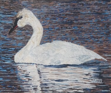 Malerei mit dem Titel "Trumpeter Swan" von Monikr, Original-Kunstwerk, Acryl