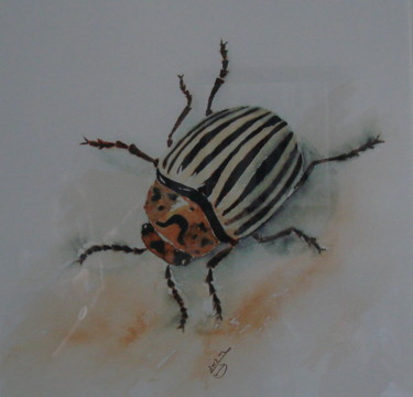 Malerei mit dem Titel "INSECTE 2" von Monique Darry, Original-Kunstwerk, Aquarell