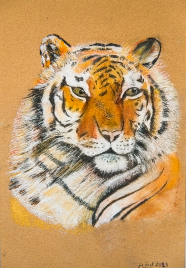 Peinture intitulée "tigre" par Monique Hirel, Œuvre d'art originale, Pastel