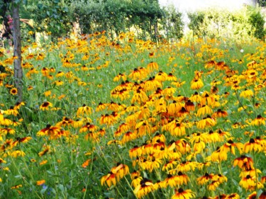 Fotografie mit dem Titel "Jours d'été" von Monique Anna Michel, Original-Kunstwerk