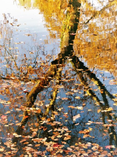 Photographie intitulée "Ancrage dans l'Auto…" par Monique Anna Michel, Œuvre d'art originale