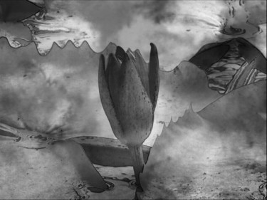 Photographie intitulée "Naissance d'un rêve…" par Monique Anna Michel, Œuvre d'art originale, Photographie numérique