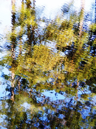 Photographie intitulée "Golden Reflection" par Monique Anna Michel, Œuvre d'art originale