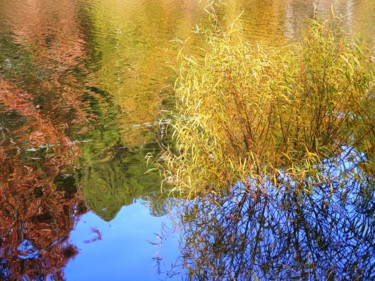 Фотография под названием "A Vibrant Autumn" - Monique Anna Michel, Подлинное произведение искусства