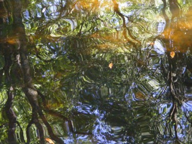 "Aquatic Imagination" başlıklı Fotoğraf Monique Anna Michel tarafından, Orijinal sanat