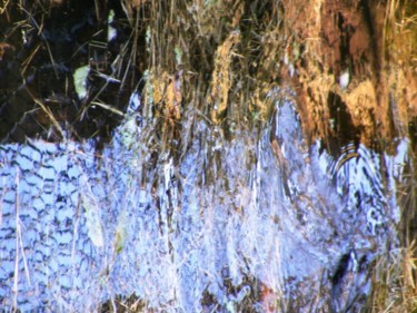 Photographie intitulée "Water Garden" par Monique Anna Michel, Œuvre d'art originale