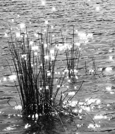 Photography titled "Stars on the Water" by Monique Anna Michel, Original Artwork