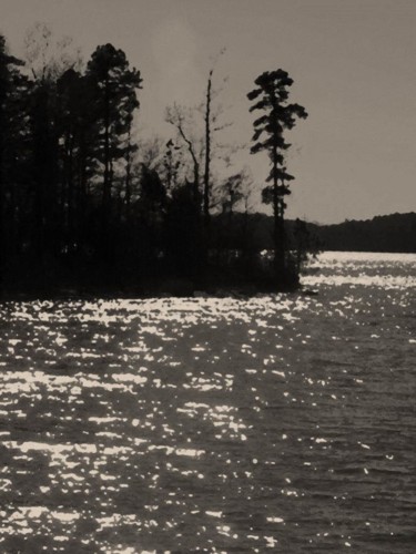 Photographie intitulée "A Silver Lake" par Monique Anna Michel, Œuvre d'art originale, Light Painting