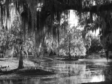 Photographie intitulée "Louisiana Gardens" par Monique Anna Michel, Œuvre d'art originale