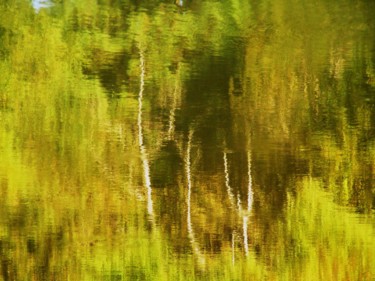 Photographie intitulée "Forêt Secrète" par Monique Anna Michel, Œuvre d'art originale, Light Painting