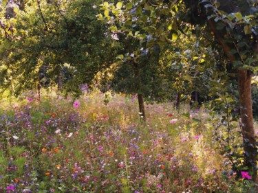 Photographie intitulée "Rêve Champêtre" par Monique Anna Michel, Œuvre d'art originale