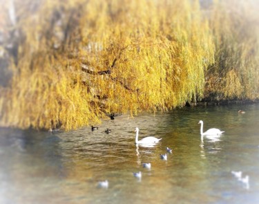 Photography titled "Promenade sur le La…" by Monique Anna Michel, Original Artwork