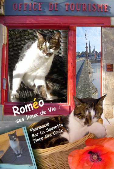 Digital Arts titled "ROMEO chat mascotte…" by Arts Monyk, Original Artwork