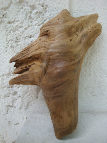 Sculpture intitulée "vestige du tire-bou…" par Monro, Œuvre d'art originale, Bois
