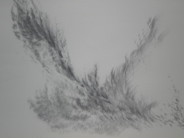 Drawing titled "Les Ailes du temps" by Frédérique Montane, Original Artwork, Charcoal