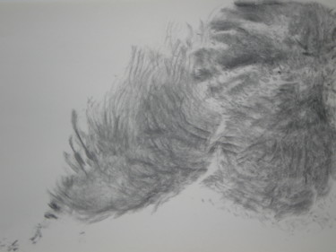 Drawing titled "Les Ailes du Temps 2" by Frédérique Montane, Original Artwork, Charcoal