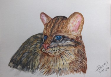 Painting titled "Wild Cat.jpeg" by Armindo Monteiro (Pedrosa), Original Artwork, Watercolor