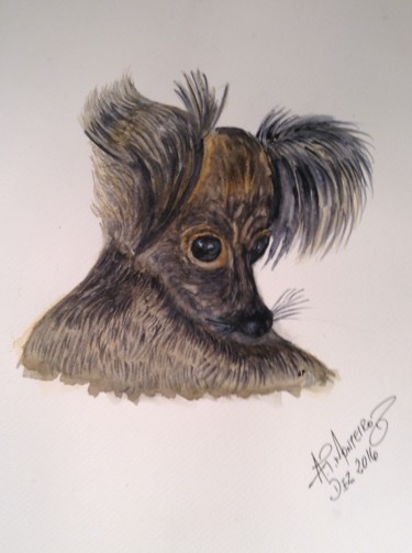 Картина под названием "Papillon puppy" - Armindo Monteiro (Pedrosa), Подлинное произведение искусства, Акварель