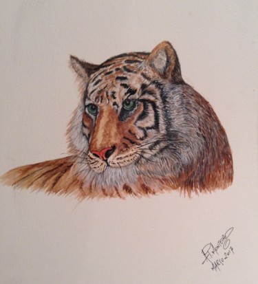 Peinture intitulée "tiger" par Armindo Monteiro (Pedrosa), Œuvre d'art originale, Aquarelle