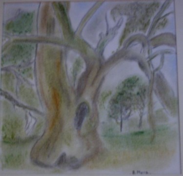 Peinture intitulée "Eucalyptus" par Bernadette Mora, Œuvre d'art originale