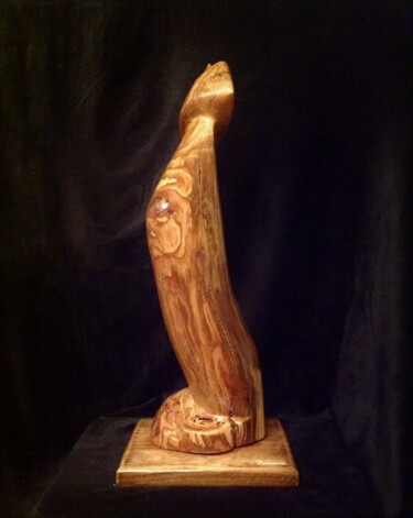 Sculpture titled "Paradeur" by Moreau Franck Didier, Original Artwork, Wood