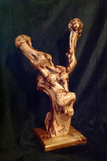 Sculpture titled "Bovin 1" by Moreau Franck Didier, Original Artwork, Wood