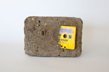 Scultura intitolato "K7 is the new BUZZ" da Morgan Paslier, Opera d'arte originale, Cemento