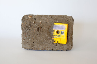 Sculptuur getiteld "K7 is the new BUZZ" door Morgan Paslier, Origineel Kunstwerk, Cement