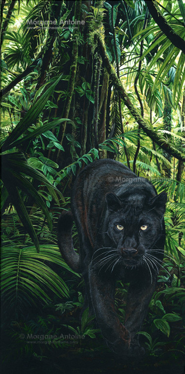 Schilderij getiteld "Jungle Ghost" door Morgane Antoine, Origineel Kunstwerk, Acryl
