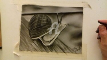 Drawing titled "escargot" by M. Olivier, Original Artwork, Pastel