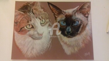 Dessin intitulée "deux chats" par M. Olivier, Œuvre d'art originale, Pastel