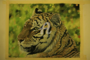 Dessin intitulée "tigre du Bengale" par M. Olivier, Œuvre d'art originale, Pastel