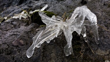 Photographie intitulée "congelé" par M. Olivier, Œuvre d'art originale