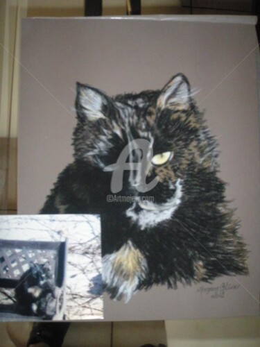 Dessin intitulée "chat" par M. Olivier, Œuvre d'art originale, Pastel