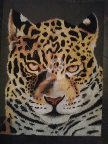 Dessin intitulée "léopard" par M. Olivier, Œuvre d'art originale, Pastel