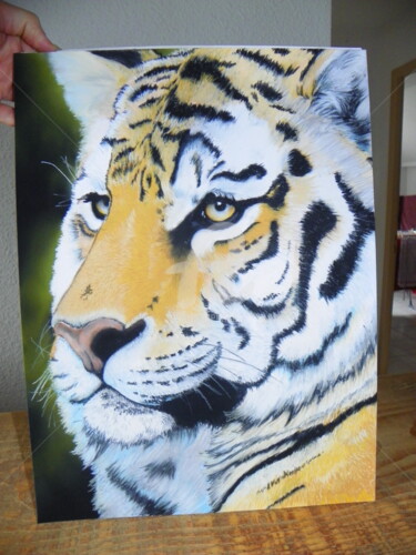 Dessin intitulée "tigre" par M. Olivier, Œuvre d'art originale, Pastel