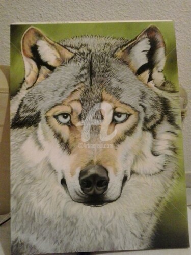 Drawing titled "loup gris" by M. Olivier, Original Artwork, Pastel