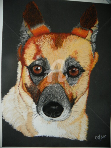 Peinture intitulée "chienne croisé .jpg" par M. Olivier, Œuvre d'art originale, Pastel