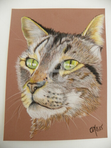 Drawing titled "pepper" by M. Olivier, Original Artwork, Pastel