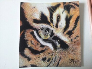 Dessin intitulée "oeil de tigre" par M. Olivier, Œuvre d'art originale, Pastel