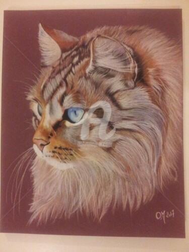 Drawing titled "chat" by M. Olivier, Original Artwork, Pastel