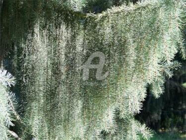Arts numériques intitulée "Arborétum 6" par Morganv6, Œuvre d'art originale
