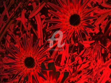 Digital Arts titled "Fleur rouge 13" by Morganv6, Original Artwork
