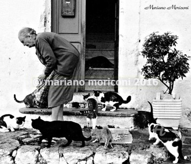 Fotografia intitolato "cats" da Mariano Moriconi, Opera d'arte originale