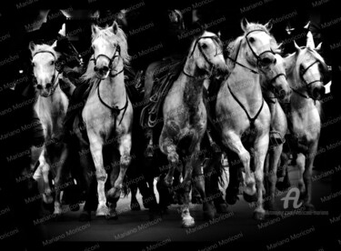 Photographie intitulée "camargue cavalli" par Mariano Moriconi, Œuvre d'art originale, Photographie numérique