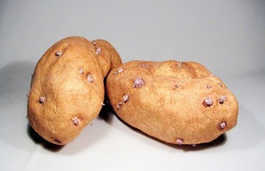 Sculpture intitulée "Pommes de terre" par Philippe Bruneteau, Œuvre d'art originale